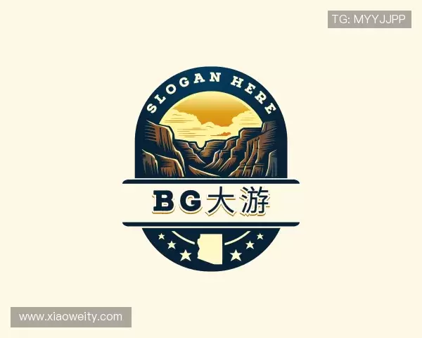 介绍BG大游最新地址